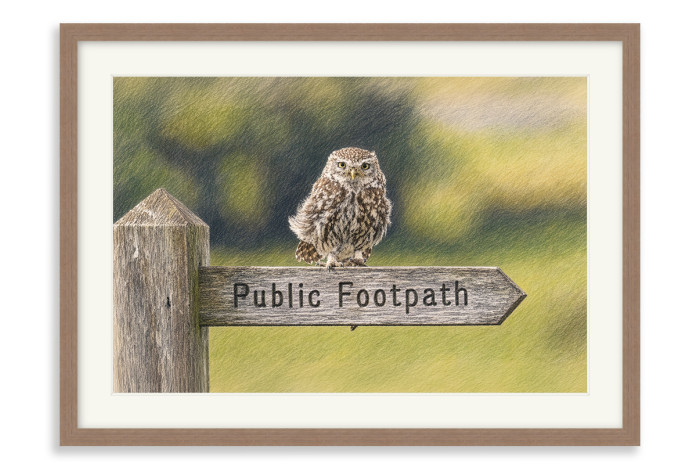 Walnut Frame A3+ - 32.9 x 48.3 cm (+£232.00)